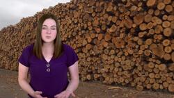 Conserving the Tropical Rainforest: Our Collective Responsibility Instructional Video