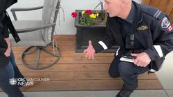 B.C. homeowners taking steps to improve fire resiliency News Clip