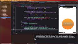 Mastering WidgetKit in SwiftUI 4, iOS 16 with Dynamic Island - Pedometer Entry Instructional Video