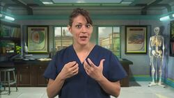 Human Body: Nervous System Instructional Video