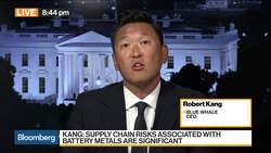 Blue Whale CEO on the Battle for Rare Earths News Clip