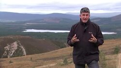 Brexit: Migration report calls for no special treatment for EU citizens Stock Footage