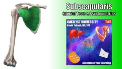 Subscapularis Tears | Special Tests | Rationale & Interpretation Instructional Video