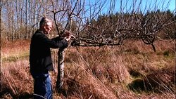 The Grape Grower Instructional Video