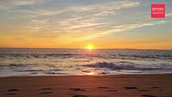 Bollywood's hotspot: Alibaug's rise as a celebrity haven & investment hub News Clip