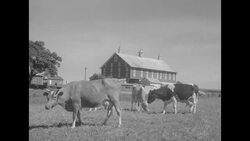 Dwight Eisenhower's farm in Gettysburg, PA News Clip