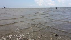 Grid Waves Instructional Video