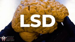 What LSD Does to the Brain Instructional Video