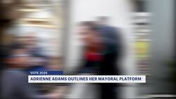 VOTE 2025: City Council Speaker Adrienne Adams runs on resume amid mayoral primary News Clip
