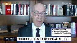 Rogoff Says Fundamentals Point to Higher Rates, Yields News Clip