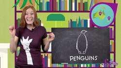 Meet 3 Peculiar Penguins | Animal Science for Kids Instructional Video