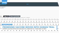 Vaccine Shows Promise, But Fauci Warns Immunity Is At Least A Year Out News Clip