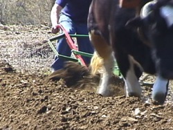 Objectos en movimiento: video de evaluación Instructional Video