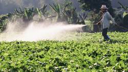 The Anthropocene Epoch: Humanity's Impact on Earth Instructional Video