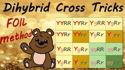 Dihybrod cross Tricks Instructional Video