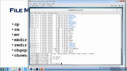 Linux Crash Course for Beginners - 2023 - File Maintenance Commands Instructional Video