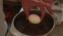 How to Tell If Eggs Are Rotten Instructional Video