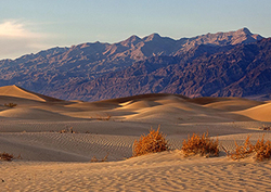 Changing land use Instructional Video