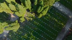 Old Cemetery in a park (aerial) Stock Footage