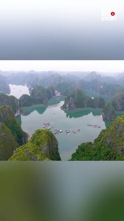 Journey through Vietnam's floating pocket of paradise Instructional Video