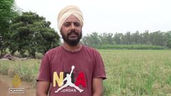 Severe flooding in Punjab destroys rice crops worth billions, rescue efforts underway News Clip