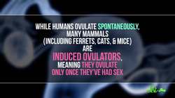 The Sexiest Compilation Ever | Compilation Instructional Video