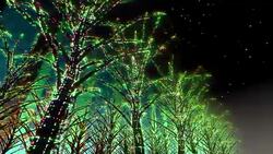 Neon Tree illumination Stock Footage