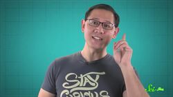 8 of the Worst Stinging Insects Instructional Video