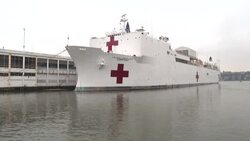 CLEAN : New York Mayor heralds arrival of USNS Comfort: "help has come" News Clip