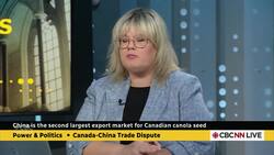 China claims Canada is 'dumping' cheap canola into its market, prompting 75.8% tariff News Clip
