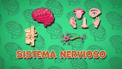I WONDER - What Organs Are Part Of The Nervous System?
 Me Pregunto - Qué Órganos Son Parte Del Sistema Nervioso? Instructional Video