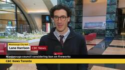 Mississauga council considers ban on fireworks News Clip