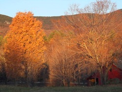 Otoño: ¿qué pasa en otoño? Instructional Video