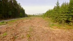 Logging clear cut AERIAL Stock Footage