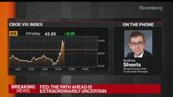 Morgan Stanley's Sheets Says U.S. Markets in 'Early-Cycle Evironment' News Clip