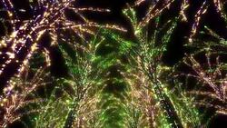 Neon Tree illumination Stock Footage