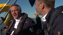 Beluga whale spotted in the Thames 'swimming strongly and feeding normally' Stock Footage