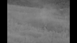 Korean War: Soldiers fighting in camouflage near Seoul, running through grass, explosions, flames from flame throwers News Clip