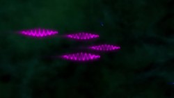 Tracing the History of Starlight with NASA's Fermi Mission Instructional Video