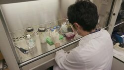 Scientists in Japan work on producing covid-19 vaccination News Clip