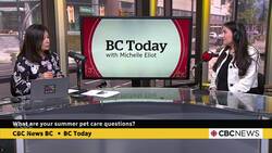 How to protect your pets from ticks this summer News Clip