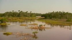 The Everglades Ecosystem: Manmade projects to help the everglades Instructional Video