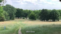 Area Guide to Willesden Green News Clip