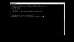 Elasticsearch 7 and Elastic Stack - In Depth and Hands On! - Snapshots Lifecycle Management Instructional Video