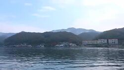 Nami Island in autumn South Korea Stock Footage