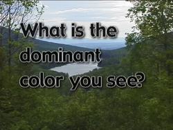 The Importance of Chlorophyll Instructional Video