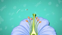 I WONDER - What Is Pollination? Instructional Video