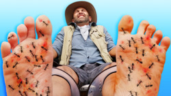 Stinging Ant Swarm vs Coyote's Feet! Instructional Video