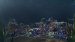 Cruise ship spills food waste onto the Great Barrier Reef Instructional Video