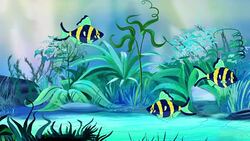 Small Blue-yellow aquarium fishes in a tank Stock Footage